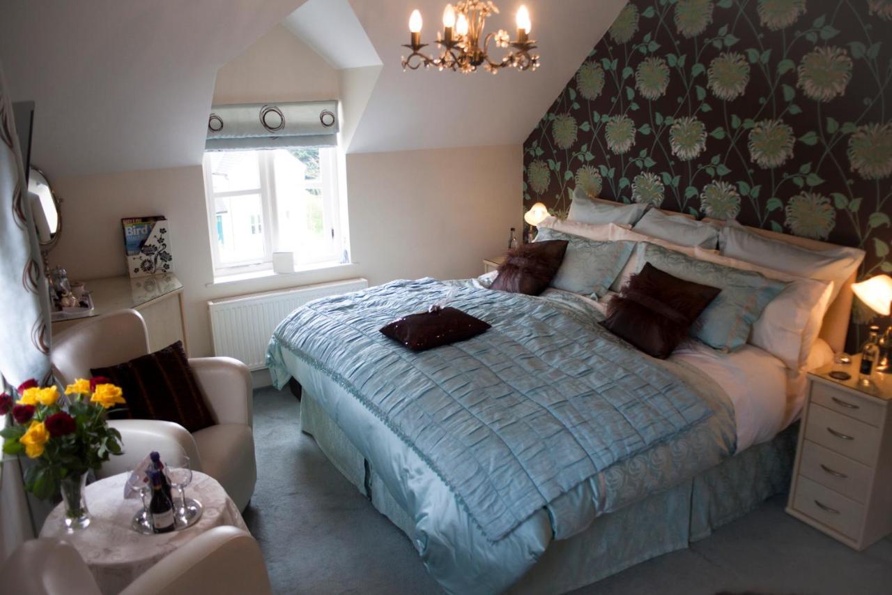 Y Garth Luxury Bed And Breakfast Dinas  Екстер'єр фото